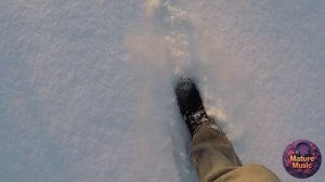 Берёза (Сергей Есенин) - Песня на стихи [Ver. 2]