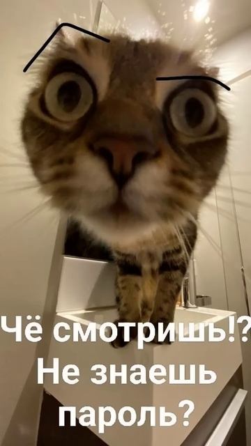 ВаМ КрАсИВеНьКиЕ оБоИ🧶) смотреть онлайн