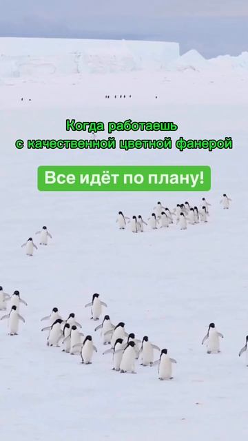 Когда работаешь с качественной цветной фанерой – всё смотреть онлайн