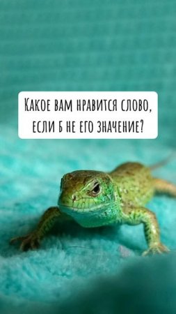 Вопрос к вам☺️