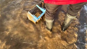 Чистка песка совком от денег