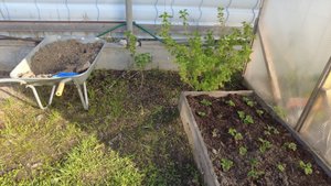 Дачные дела // Немного готовки // Закупка продуктов