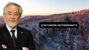 ВЕЛИЧАЙШЕЕ ОТКРЫТИЕ 21 ВЕКА! Гениальный Ученый Есинори Осуми и Его Метод Голодания