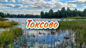 Токсово