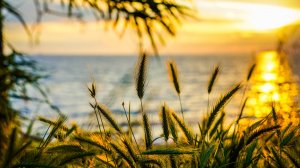 ✨ БЕЗУМНО ТРОГАТЕЛЬНАЯ МУЗЫКА ДЛЯ ВОССТАНОВЛЕНИЯ НЕРВНОЙ СИСТЕМЫ 🎵 СПОКОЙНАЯ МУЗЫКА ДЛЯ СНА