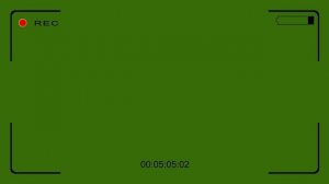 Видоискатель видео камеры