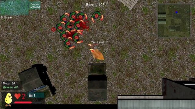 Куриный лапопашный бой