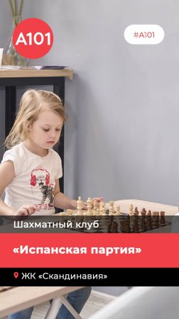 День открытых дверей в шахматном клубе «Испанская партия»