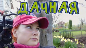 ДАЧНАЯ Песня. Посвящается САДОВОДАМ :)
