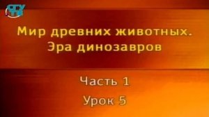 Динозавры # 1.5. Текодонты и первые динозавры