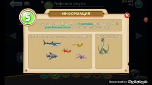 ПОЛУЧИЛ РИФОВУЮ АКУЛУ | HUNGRY SHARK WORLD