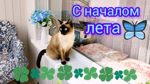 Доброе☀️утро🐱2.06.2025🌺Лето🌸 #поговорим #жизнь инвалида #кошка Ладушка