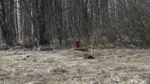 ТОЗ-16 (TOZ-16) VS кирпич!