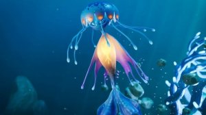 Life Below - Official Announcement Trailer