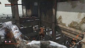 Обезьяны в ширме. Как пройти? Sekiro shadows die twice