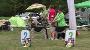 Расстановка класса юниоров