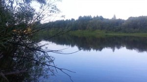 Река Ветлуга