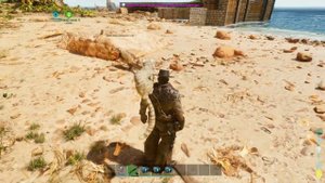 Они Добавили КОТА ARK SURVIVAL ASCENDED