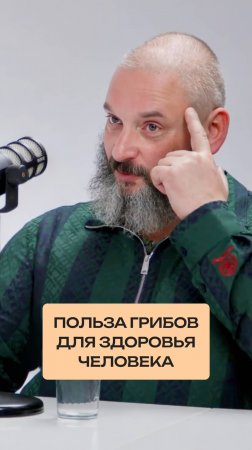 Польза грибов для здоровья человека