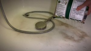 Хойи на черенки, алоказия — в керамзит 🌱