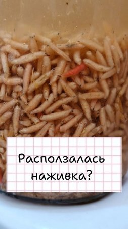 лучшая насадка!