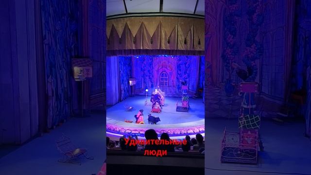 сказочное место для детей и взрослых#уголок Дурова!!!! смотреть онлайн