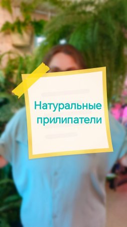 Натуральные прилипатели. Привет, я Аня! Давай дружить цветами 🌱