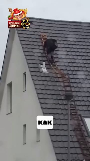 Эти Ботинки Хочет Каждый😱‼️ смотреть онлайн