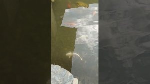 02-06-2025