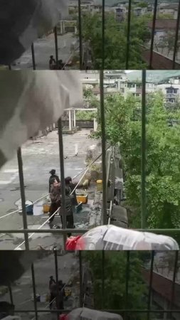 Как женщины кота спасали.