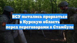 ВСУ пытались прорваться в Курскую область перед переговорами в Стамбуле