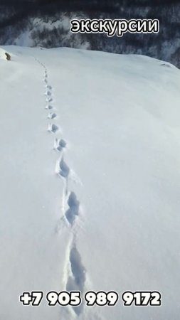 Уштулу – это дикая природа, луга горных цветов, огромные ледники, горные реки, чистейший воздух.