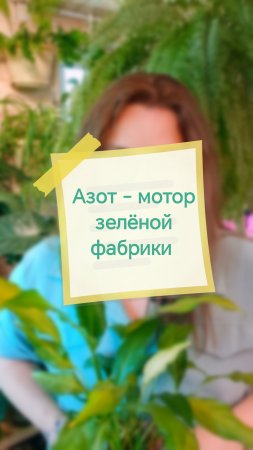 Азот. Привет, я Аня! Давай дружить цветами 🌱