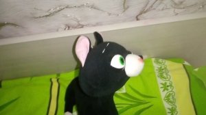 Светлана Рыбкина. Кошка учитель