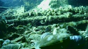 1000043962.mp4Волга гл 5м.02.06.2025г.