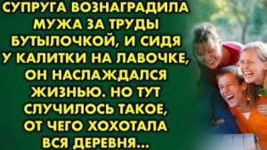 Супруга вознаградила мужа за труды бутылочкой, и сидя у калитки на лавочке, он наслаждался жизнью...