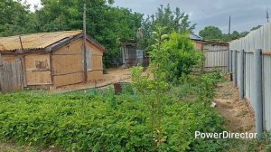 Сажаем огород, выкопали траншею и кормим котят.