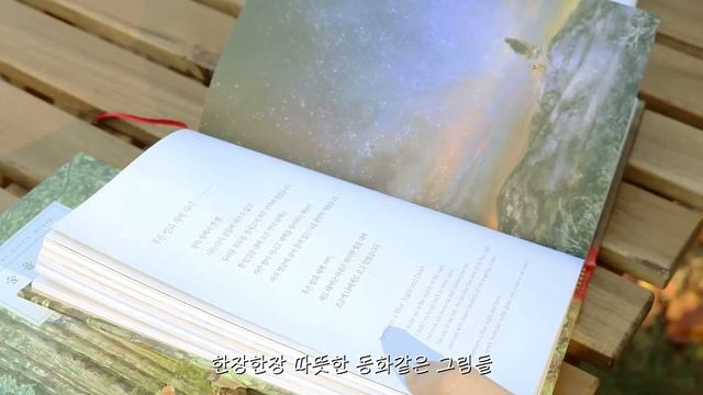 숲속 일상 브이로그 | 새로워진 것들