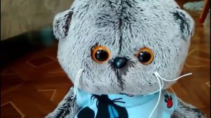 Контрольная работа!Басик получил 2😱😱😱