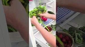 Эти хитрости вас удивят! Как избавится от запаха в холодильнике #запахи  #хитрости #lifehacks #совет