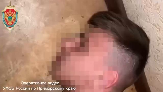 В Приморье арестовали двух 19-летних местных жителей за попытку поджога релейных шкафов.