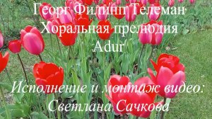 Георг Филипп Телеман "Хоральная прелюдия A dur" Светлана Сачкова