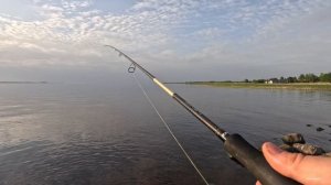 Судак подошёл. Волхов.