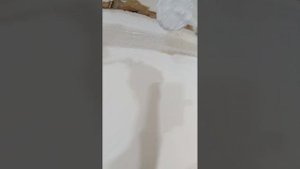 Как шпаклевать полукруглый угол.