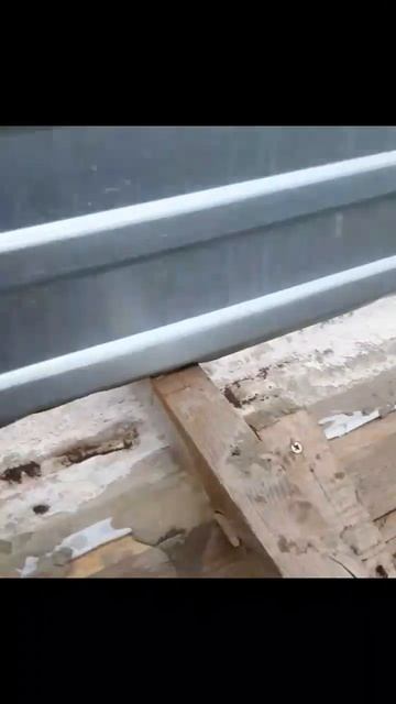 желтые саморезы как инвестиция смотреть онлайн