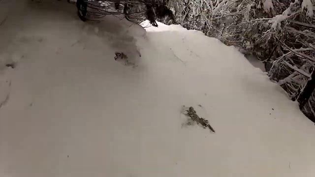 Буковель 2013 GoPro Hero2 смотреть онлайн