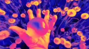 планета земля