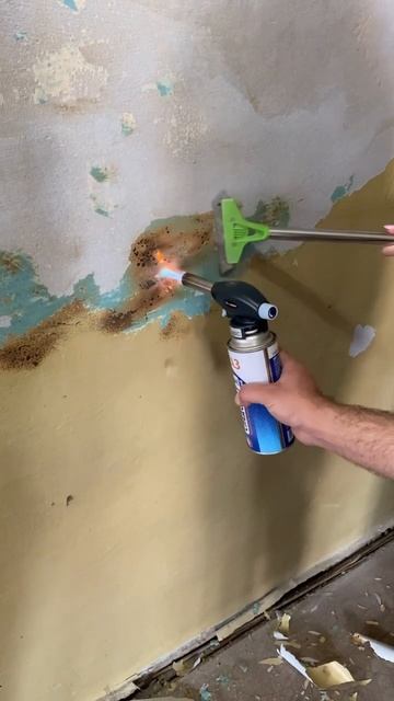 Как правильно или неправильно снимать старую краску? смотреть онлайн