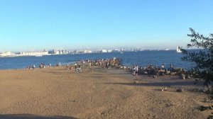 ПАРК 300-ЛЕТИЯ САНКТ-ПЕТЕРБУРГА 2020г.
