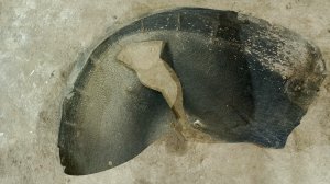 как снять передний подкрылок Шкода Октавия а-5 2008 года